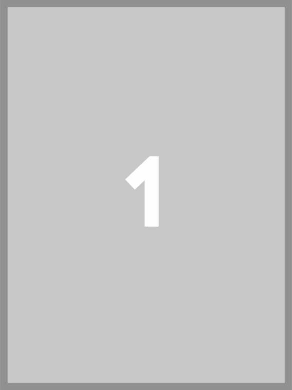 iPod Shuffle